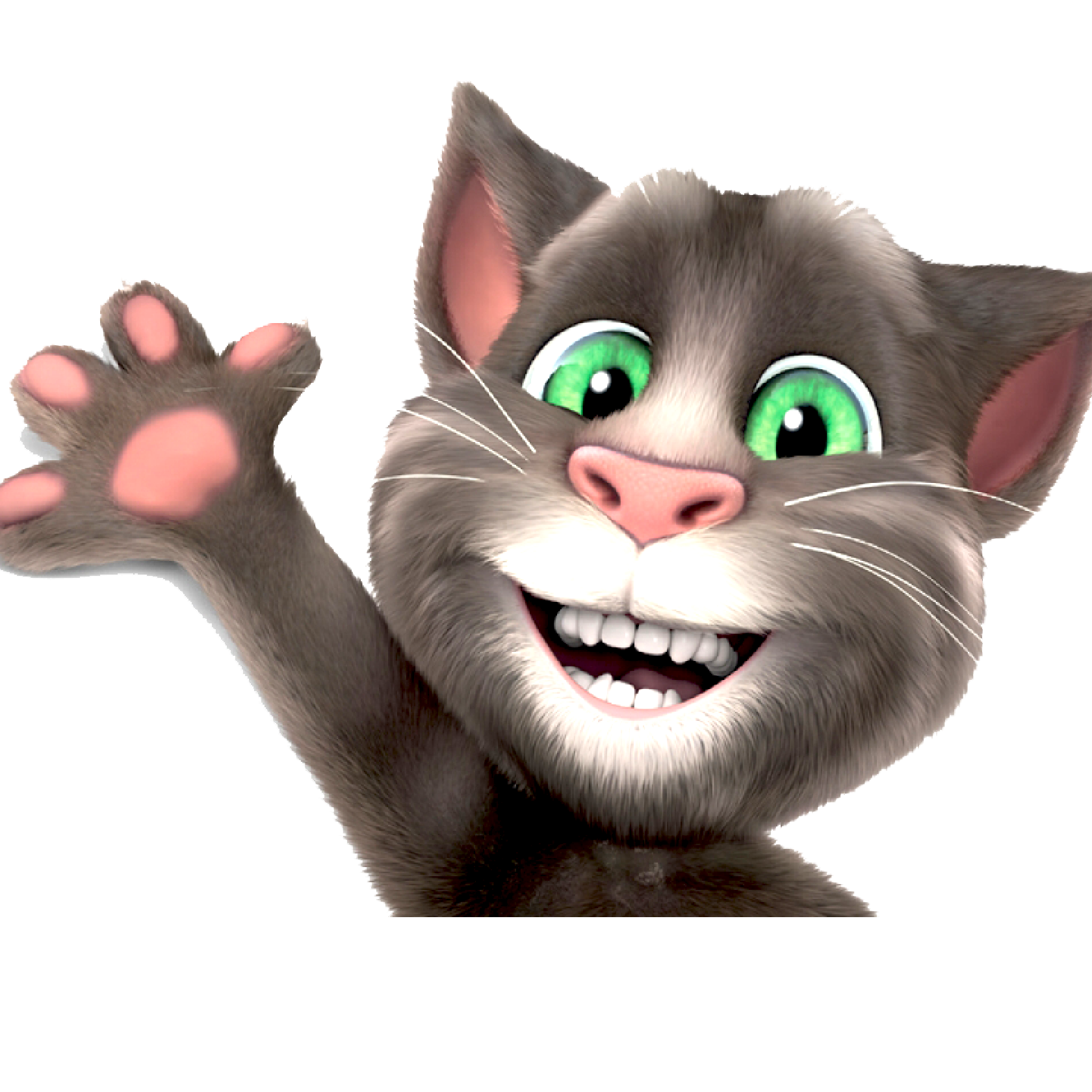 Toms Cat News Toms Cat News